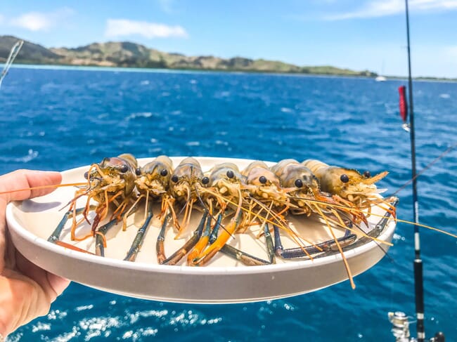 prawns on a plate