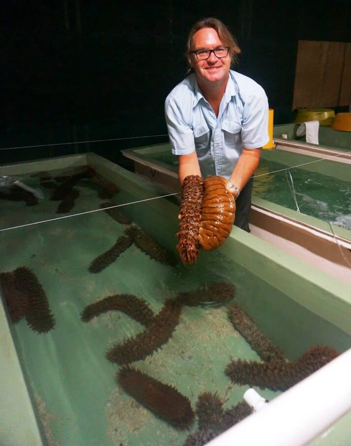 person holding sea cucumbers
