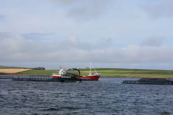 Orkney has a number of sites which are subject to strong tides.