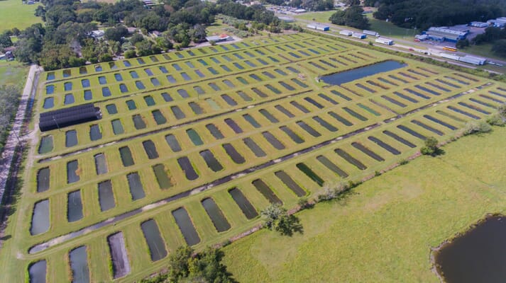 An pond-based ornamental farm in Florida