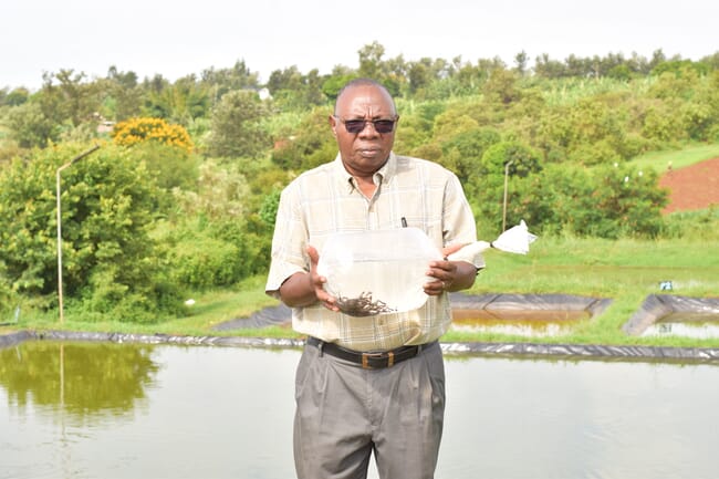 A man holding a bag of small fish.