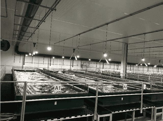 shrimp tanks inside a warehouse