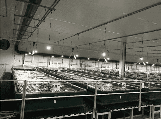 NaturalShrimp farms in San Antonio, Texas and Webster City, Iowa