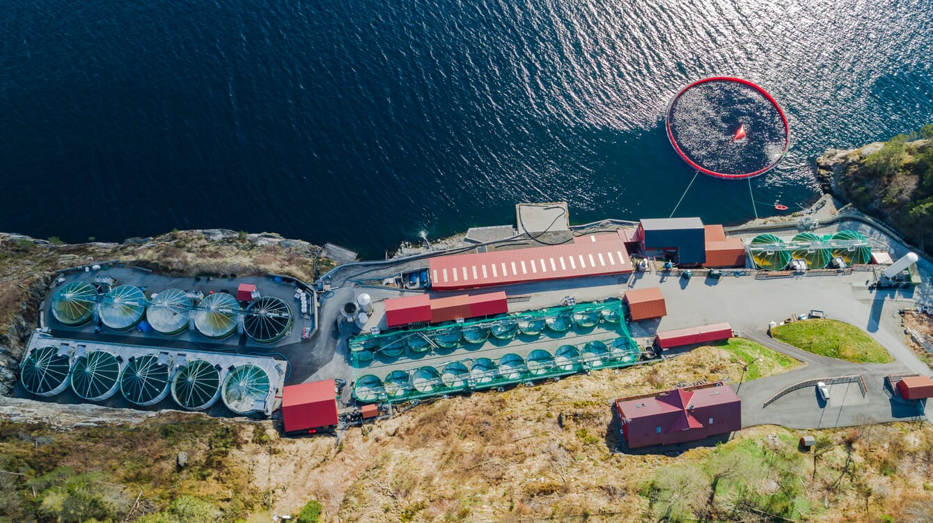 An aerial view of a land-based fish farm