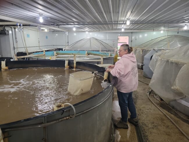 lady beside a shrimp tank