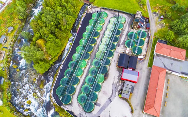 Bringing RAS to the people | The Fish Site