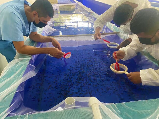 people examining fish in a fish tank