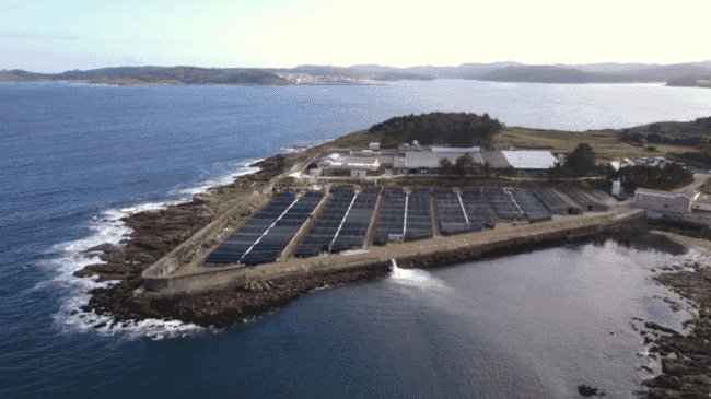 a land-based fish farm