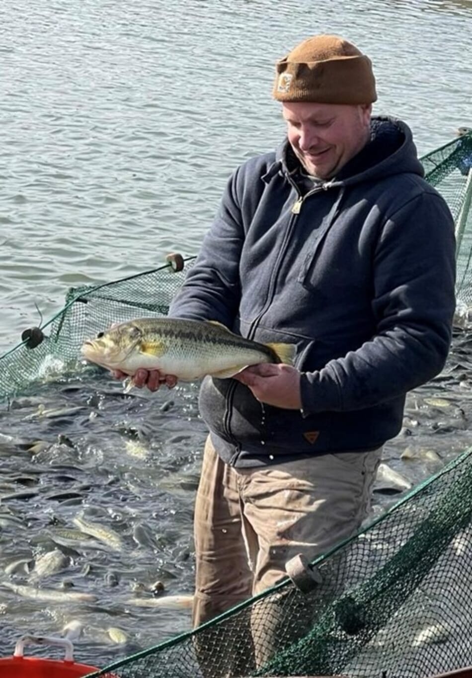 Novel tech shows promise on US barramundi farm The Fish Site