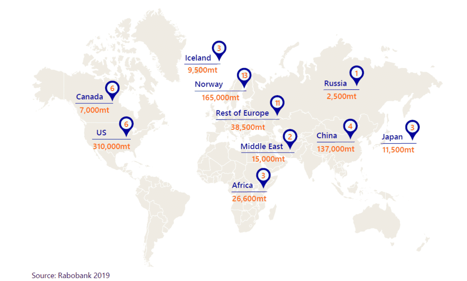 Rabobank: why the tide is turning in favour of RAS production | The ...