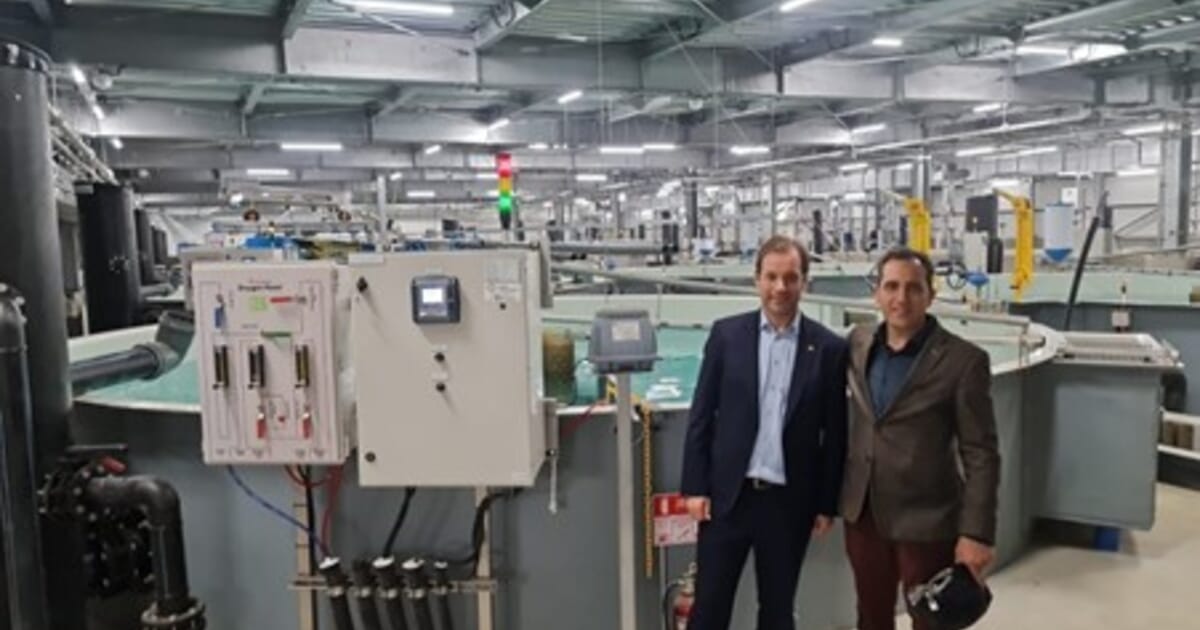 Proximar hails new milestone in Japanese salmon RAS | The Fish Site