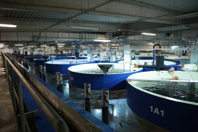 indoor aquaculture facility