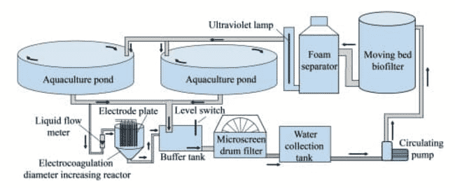 RAS diagram