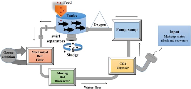 Experimental diagram