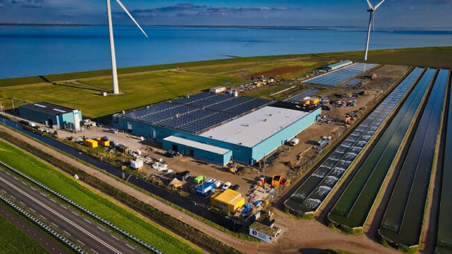 recirculating aquaculture facility with wind turbines