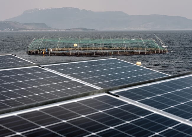 Solar panels next to open sea pen