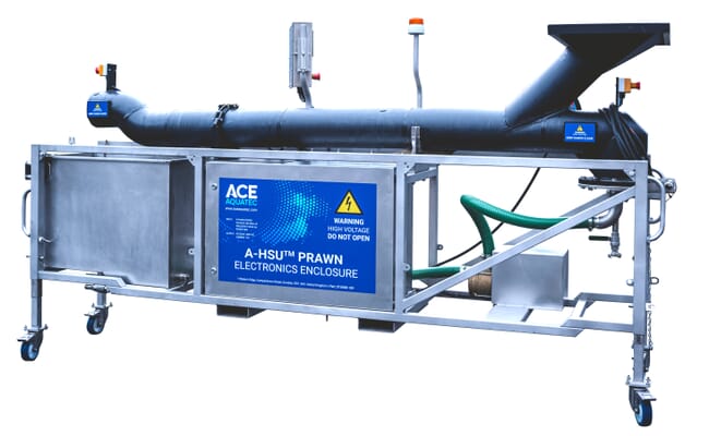 Ace Aquatec's new prawn stunning machine