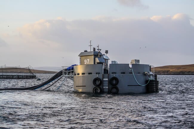 a floating silver metal structure beside salmon pens.