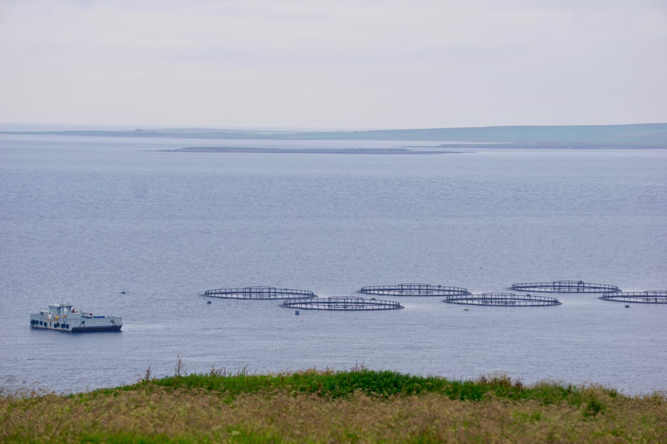 a salmon farm