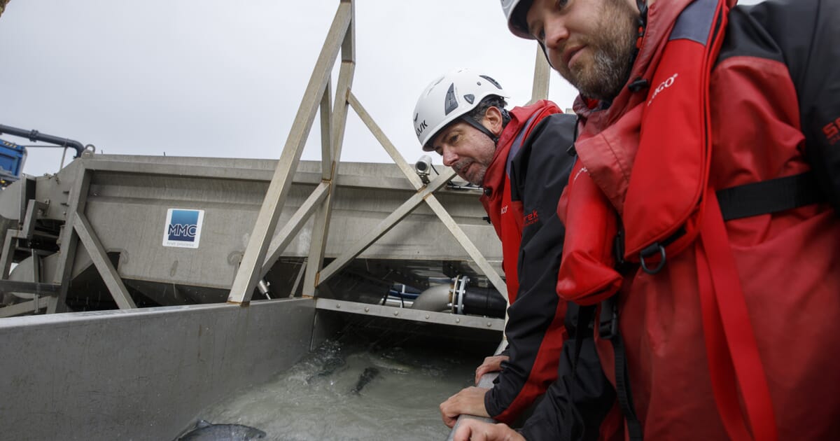 Scotland’s Shadow Secretary visits Hebridean salmon farm | The Fish Site