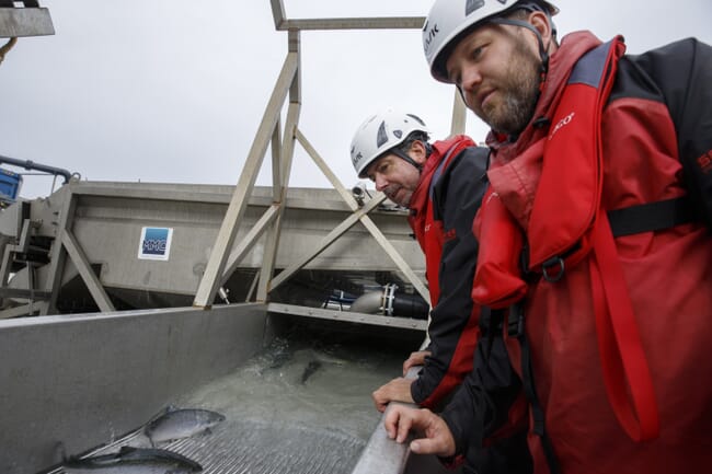 two men visit salmon farm