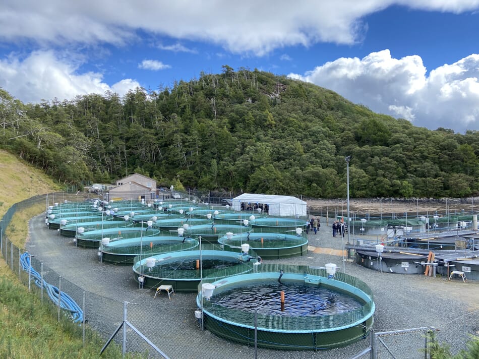 Scottish salmon hatchery gets an organic overhaul The Fish Site
