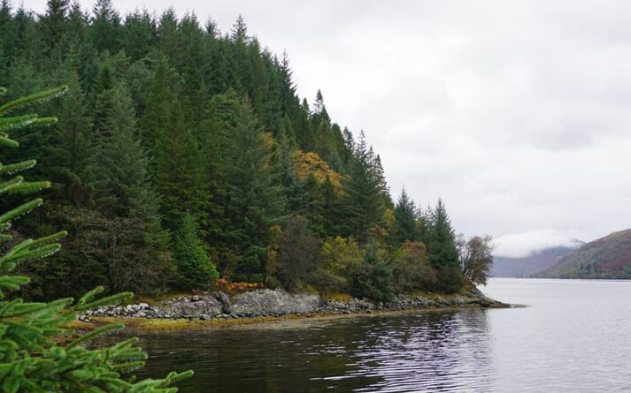 The site of the proposed semi-closed containment farm, which will have the capacity to hold up to 3,452 tonnes of salmon at a time