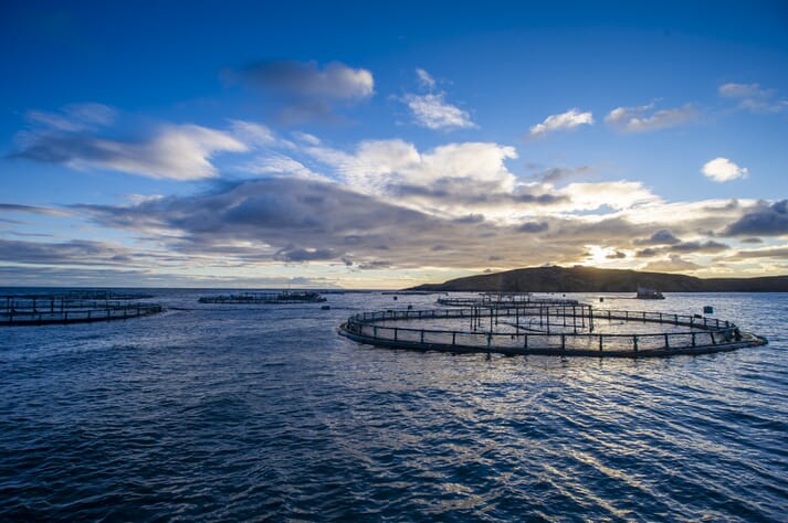 view of fish pens on the water