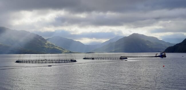 Loch Hourn salmon farm