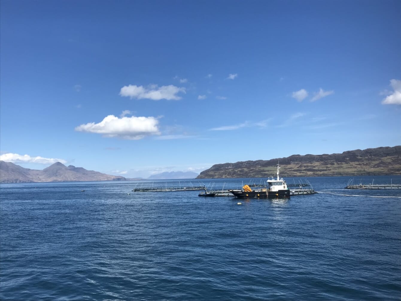 view from a fish farm