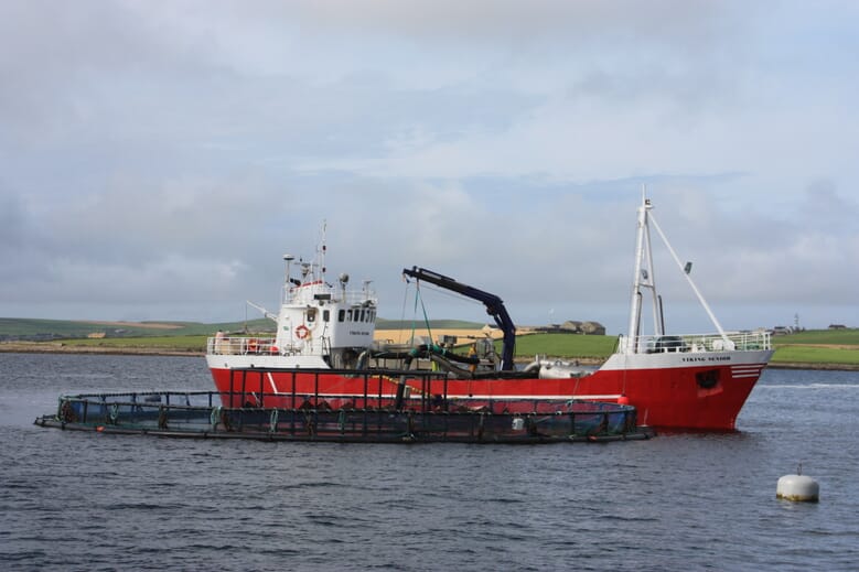 Applicants sought for a job to bolster Scotland's aquaculture