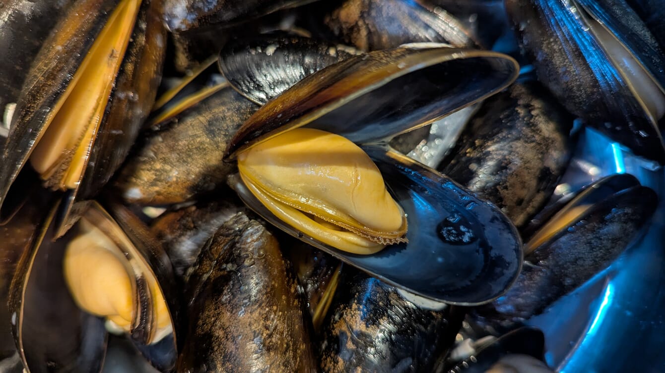 Isle of Skye Mussels.