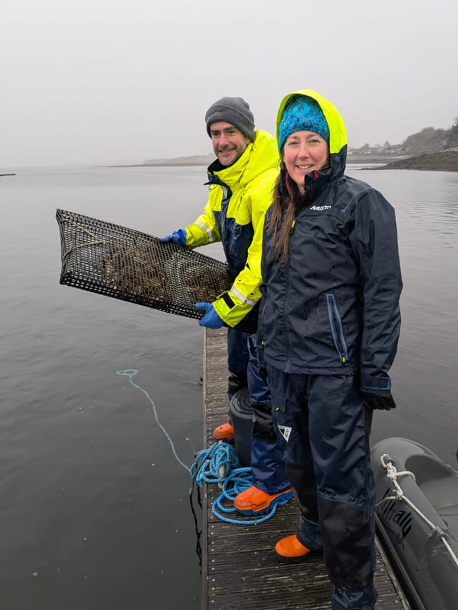Two scientists working on native oyster aquaculture in the United Kingdom.