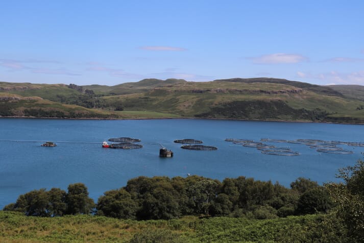 10,000 tonnes of salmon at an average EBIT of €​​2.35/kg were produced by Marine Harvest's Scottish sites in Q2