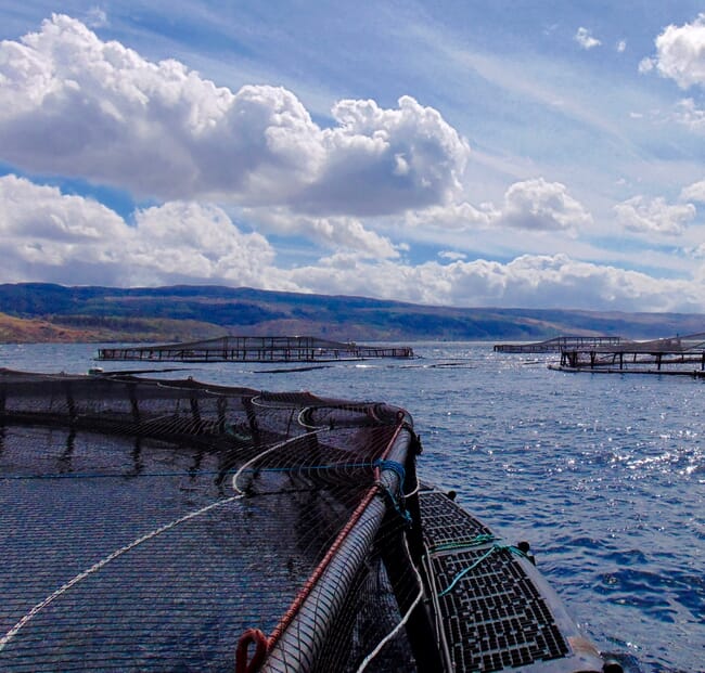 Aquaculture pen