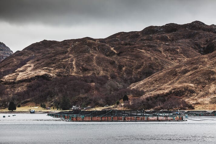 Ferme écossaise du Loch Nevis