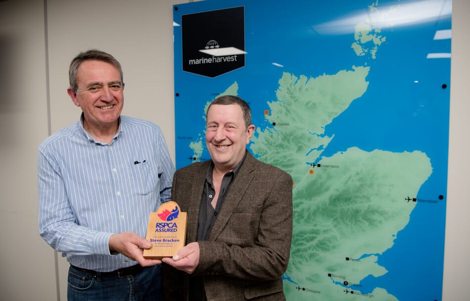 Bracken scoops welfare award The Fish Site