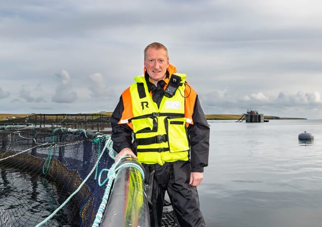 Un hombre de pie sobre un corral de salmones.