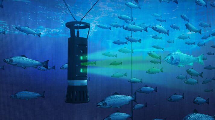 aquaculture sensor