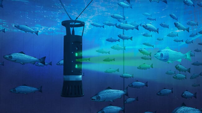 aquaculture sensor