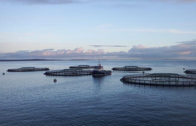 ship near aquaculture pens