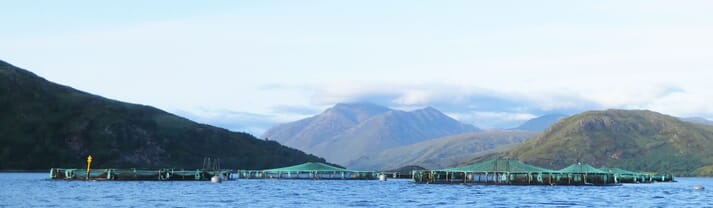 fish cages on a sea loch with hills in the background