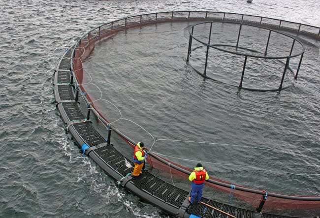 technicians at an offshore cage