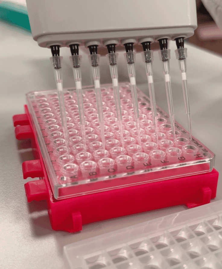 New UK partnership targets shellfish hatchery losses with phage technology