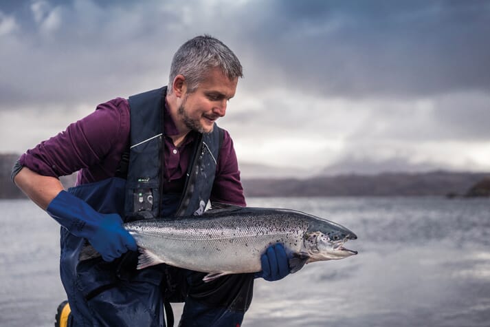 Loch Duart exports 70 percent of its salmon