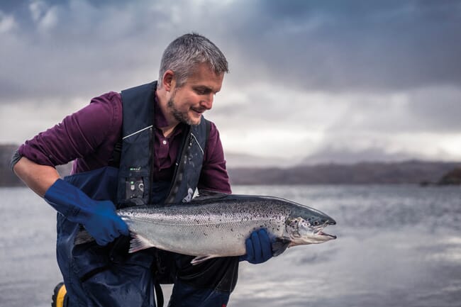 person holding a whole salmon