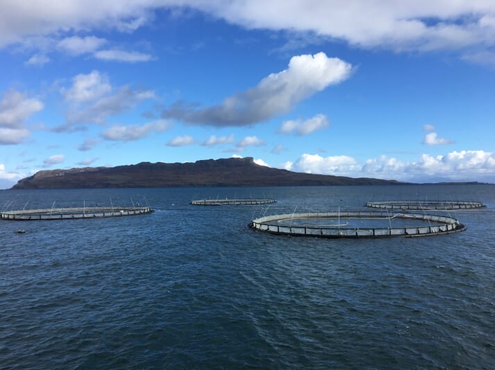 Salmon cages off the Scottish coast