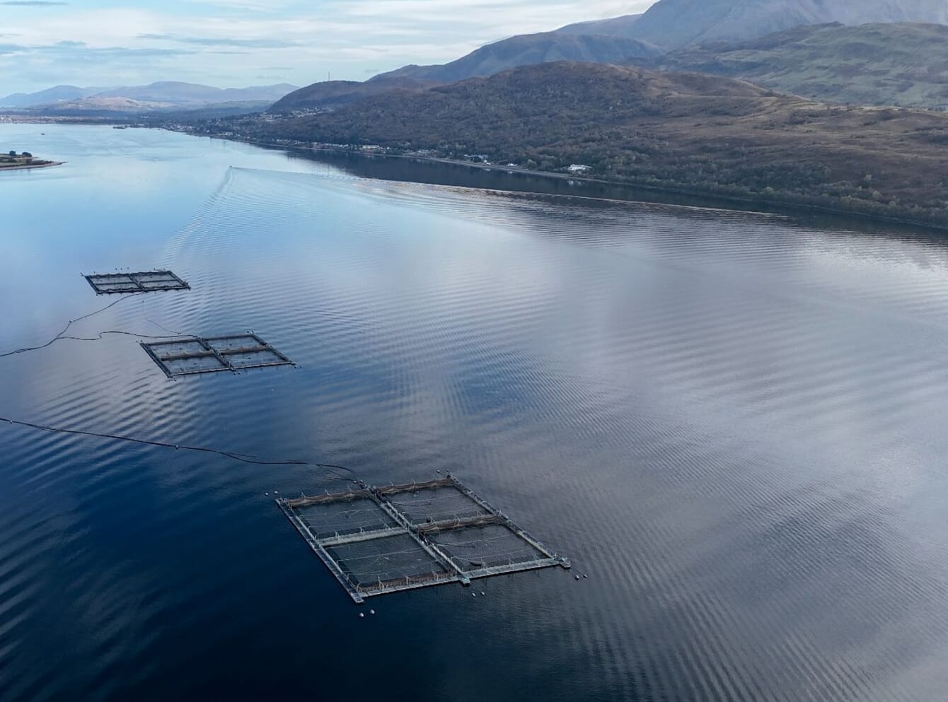 An aerial shot of an aquaculture farm in Scotland.