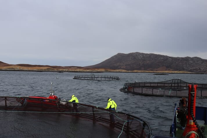 The sector has already lost 1,500 tonnes of sales and has had to delay the harvesting of a further 700 tonnes of salmon