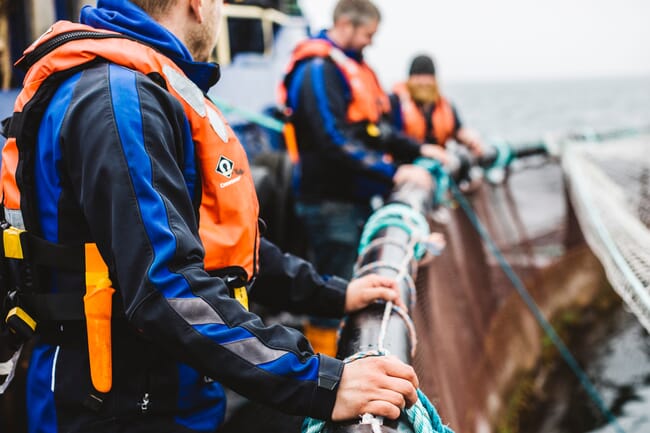 aquaculture technicians at a net pen